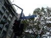 Shortland St