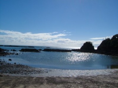 One of Waiheke's many beaches