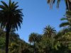 Runyon Canyon