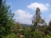 Beverley Hills